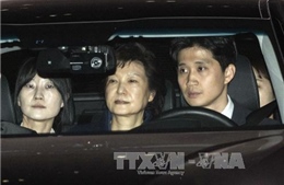 Những người ủng hộ cựu Tổng thống Park Geun-hye thành lập đảng mới 